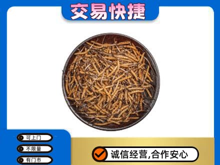 昭通高价回收散虫草